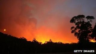 Picture of the Australian bush with the sky lit up by fire