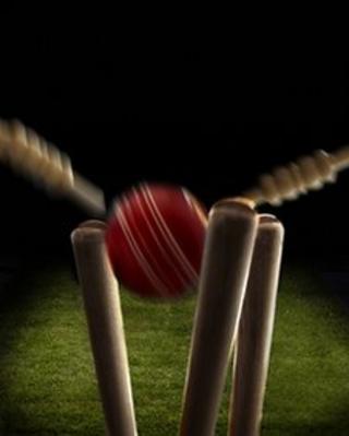 Cricket ball and stumps