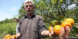 Abkhaz farmer