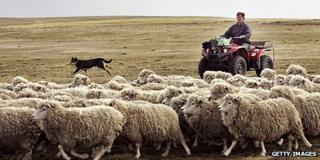 Farmer in the Falklands Islands