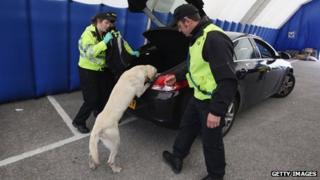 Sniffer dog checks car