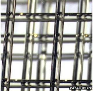 A microscope image of a 3D printed sugar template used for creating vasculature in living tissues.