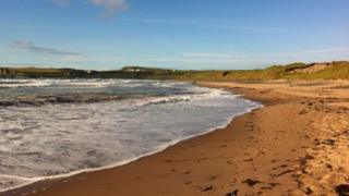 Bushfoot Strand