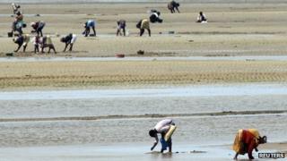 Women collect clams on the Indian Ocean shore line in Maputo September 2010
