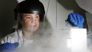 Dr Rhiannon Lloyd examines specimens from the Frozen Ark