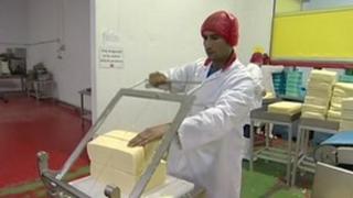 Prima Cheese factory