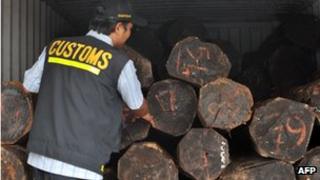 Customs intercept illegal logs