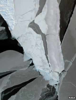 Arctic sea ice (Image: Nasa)
