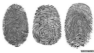 fingerprint types