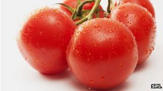 Tomatoes