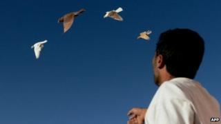 Afghan man Ahmad watching pigeons fly in Kabul, 3 October 2012