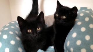 Morris and Sonny