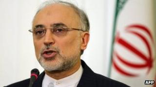 Iranian Foreign Minister Ali Akbar Salehi. Photo: October 2012