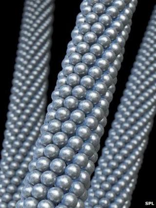 Carbon nanotube artwork