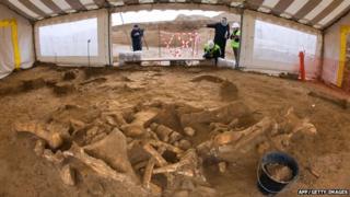 Mammoth skeleton