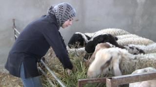 Aya Mtalat