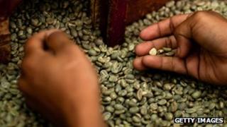 Unroasted coffee beans