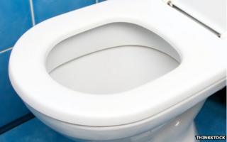 toilet seat