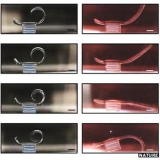 Images of bio-bot