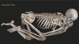 Virtual autopsy of the Gebelein Man at the British Museum