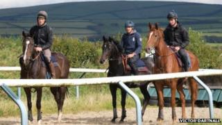 Horses at Victor Dartnall's training stables