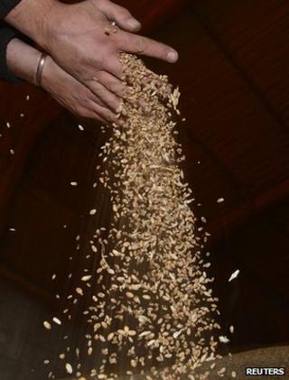 Wheat harvest (Image: Reuters)