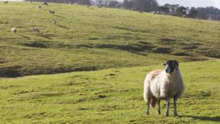Cumbrian landscape