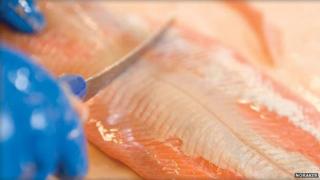 Rakfisk