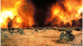 Intense grass fire