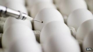 Influenza research