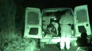 Staffordshire Wildlife and Countryside Protection Group in operation on Cannock Chase