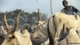 Dinka herdsman