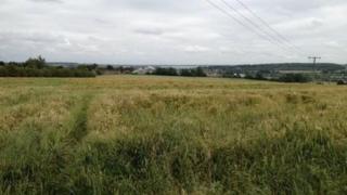 The site of the proposed crematorium in Wellingborough