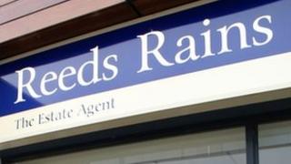 Reeds Rains