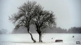 A snow-covered field