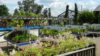 Heritage Farm Nurseries