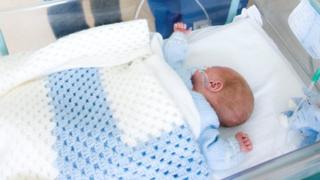Newborn baby