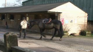 Cardiff Riding School