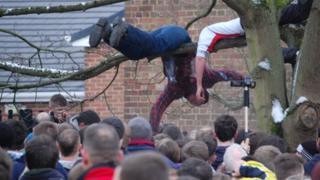 People climb trees to get some of the action