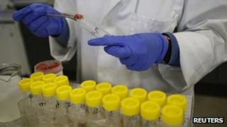 A scientist puts pieces of meat into test tubes