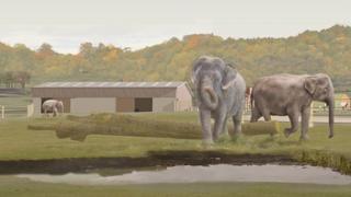 Concept drawing for proposed elephant sanctuary