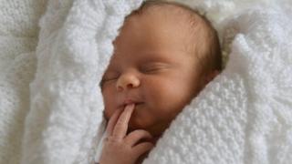 Baby