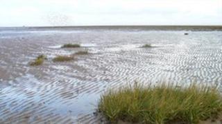 Salt marsh at Cleethorpes