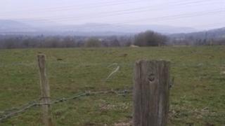 Mae'r cae hwn yn Llansamlet yn un o'r safleoedd posib