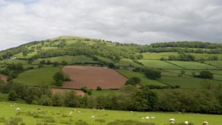 Fields