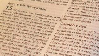 Y Beibl Cymraeg Newydd