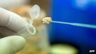 Food being tested for horsemeat