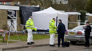 Scene of Westerdale investigation