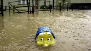 Gnome in flood water