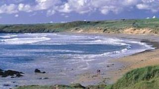 Freshwater West (Pic courtesy of Pembs council)